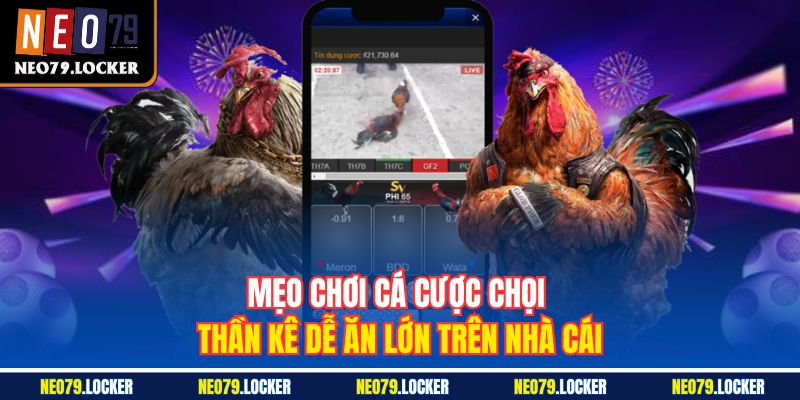Mẹo chơi cá cược chọi thần kê dễ ăn lớn trên nhà cái